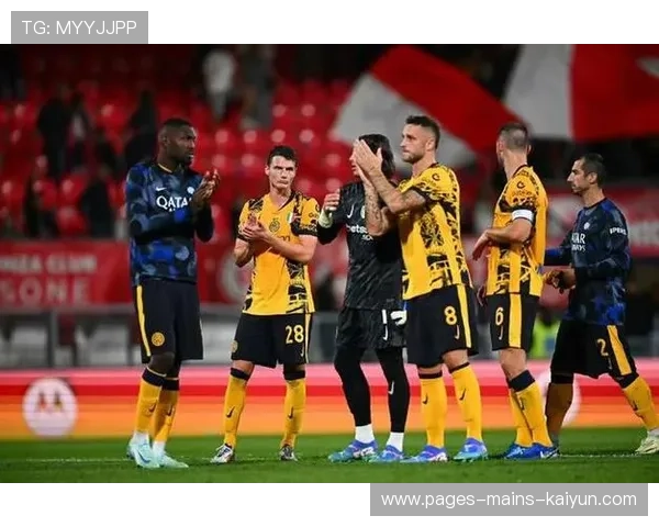 意甲黑马登顶联赛榜首，全意大利震惊